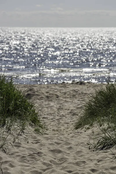 Praia de areia com grama e oceano — Fotografia de Stock
