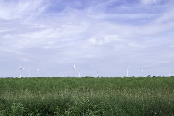 Wind Power Stations in Green Field