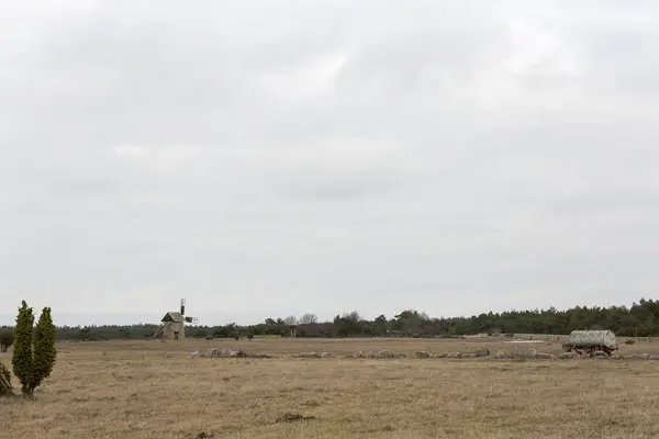 Gotland Sveç Ile Bulutlu Bir Gökyüzü Yel Değirmeni — Stok fotoğraf