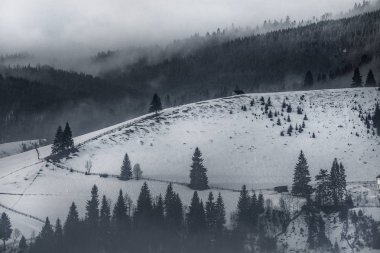 Güzel kış manzara dağlarda. Güneş doğuyor. Carpatian vadi sis ve kar yağışı ile. Kış Karpatlar. Erken sabah hafif bir dağ tepe üzerinde yatıyordu.