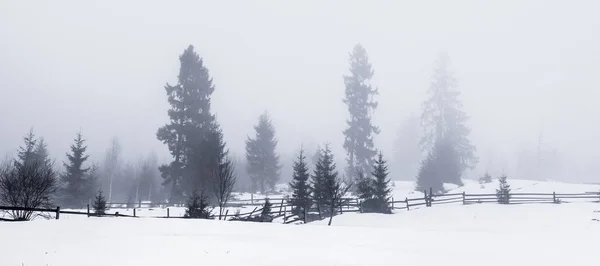 Wunderschöne Winterlandschaft in den Bergen. Sonnenaufgang. karpatisches Tal mit Nebel und Schnee. Karpaten-Winterberge. frühmorgendliches Licht lag auf einem Berghügel. — Stockfoto