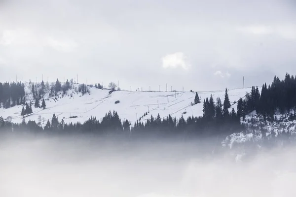 Beau paysage hivernal dans les montagnes. Au lever du soleil. Vallée carpatienne avec brouillard et neige. Carpates montagnes d'hiver. Tôt le matin, la lumière couchait sur une colline . — Photo