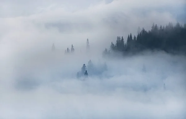 Piękny zimowy krajobraz w górach. Wschód słońca. Karpacka Dolina z mgły i śniegu. Zima w Karpatach. Wcześnie rano światło leżała na wzgórzu góry. — Zdjęcie stockowe
