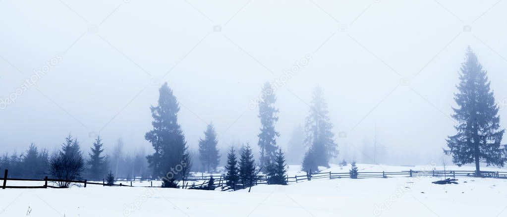 Beautiful winter landscape in the mountains. Sunrise. Carpatian valley with fog and snow. Carpathian winter mountains. Early morning light lay on a mountain hill.