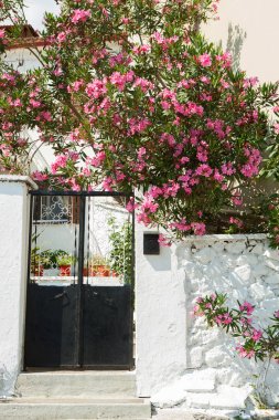 Island skiathos Yunanistan. Lüks Adası-Skiathos.Greece Adası. Cennet plaj