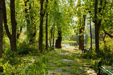 Şehir Parkı doğal tufan sonra. Düşen ağaç ve dal sonra doğal afet. Şehir Parkı felaket sonra. Felaket bahar. Yıkım sonra kar