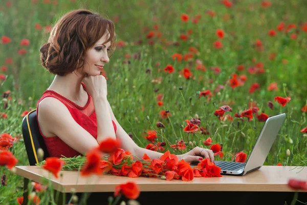 Business concept shot van een mooie jonge vrouw zitten aan een bureau met behulp van een computer in een veld. Jonge zakenvrouw in zonnige weide natuur office. Jonge vrouw met laptop buiten. Stockfoto