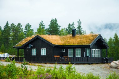 Geleneksel Norveç ahşap ev ayakta bir çim ve dağlar içinde belgili tanımlık geçmiş. Tipik Norveç ev. çatı çimen ile tipik Norveç ev.