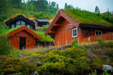 Geleneksel Norveç ahşap ev ayakta bir çim ve dağlar içinde belgili tanımlık geçmiş. Tipik Norveç ev. çatı çimen ile tipik Norveç ev.