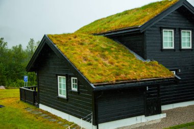 Geleneksel Norveç ahşap ev ayakta bir çim ve dağlar içinde belgili tanımlık geçmiş. Tipik Norveç ev. çatı çimen ile tipik Norveç ev.