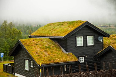 Geleneksel Norveç ahşap ev ayakta bir çim ve dağlar içinde belgili tanımlık geçmiş. Tipik Norveç ev. çatı çimen ile tipik Norveç ev.