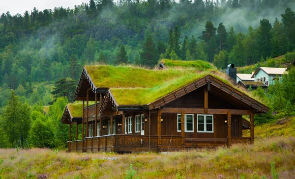 Geleneksel Norveç ahşap ev ayakta bir çim ve dağlar içinde belgili tanımlık geçmiş. Tipik Norveç ev. çatı çimen ile tipik Norveç ev.