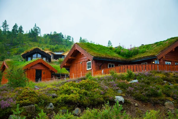 Geleneksel Norveç ahşap ev ayakta bir çim ve dağlar içinde belgili tanımlık geçmiş. Tipik Norveç ev. çatı çimen ile tipik Norveç ev.