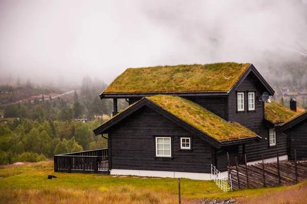 Geleneksel Norveç ahşap ev ayakta bir çim ve dağlar içinde belgili tanımlık geçmiş. Tipik Norveç ev. çatı çimen ile tipik Norveç ev.
