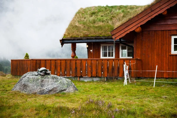 Geleneksel Norveç ahşap ev ayakta bir çim ve dağlar içinde belgili tanımlık geçmiş. Tipik Norveç ev. çatı çimen ile tipik Norveç ev. — Stok fotoğraf