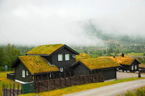 Geleneksel Norveç ahşap ev ayakta bir çim ve dağlar içinde belgili tanımlık geçmiş. Tipik Norveç ev. çatı çimen ile tipik Norveç ev.