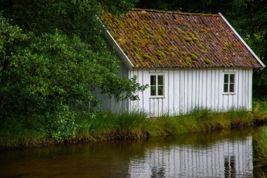 Geleneksel Norveç ahşap ev ayakta bir çim ve dağlar içinde belgili tanımlık geçmiş. Tipik Norveç ev. çatı çimen ile tipik Norveç ev