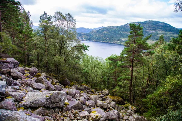 Norveç'te renkli dağ sahneleri. Güzel manzara Norveç, Scandinavia. Norveç dağ manzarası. — Stok fotoğraf