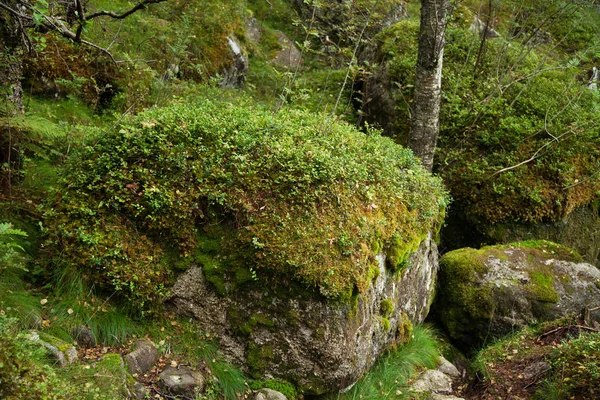 Farbenfrohe Bergszenen in Norwegen. schöne Landschaft Norwegens, Skandinaviens. Norwegische Berglandschaft. — Stockfoto