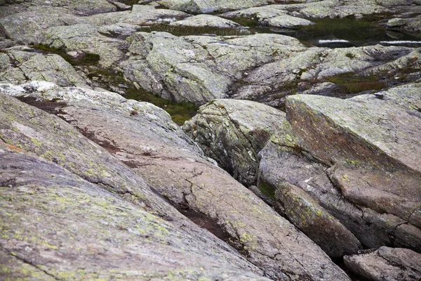 Norveç'te renkli dağ sahneleri. Güzel manzara Norveç, Scandinavia. Norveç dağ manzarası