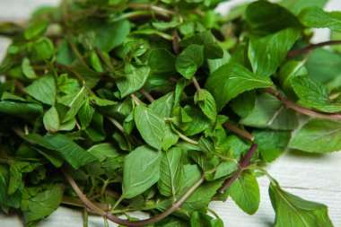 Beyaz arkaplanda izole edilmiş taze çiğ nane yaprakları