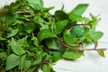 Beyaz arkaplanda izole edilmiş taze çiğ nane yaprakları