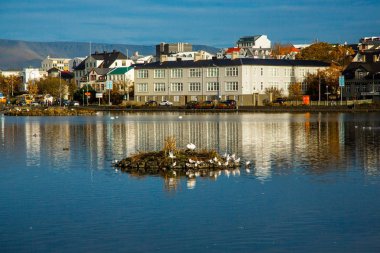 Reykjavik, İzlanda - 10 Ekim 2017: Şehir Reykjavik yukarıdan. Reykjavik Sokağı. İzlanda sonbaharda. İzlanda'nın başkenti.