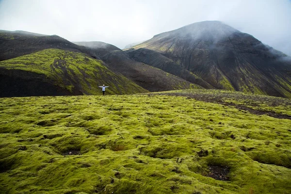 アイスランドの風景です。アイスランドの素晴らしい自然の風景です。美しい自然. — ストック写真