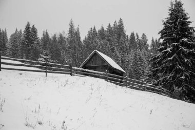 Köyün kış dağlarda Panoraması karla kaplı. Kış manzarası. Özgürlük ve yalnızlık kavramını.