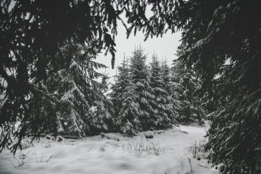Köyün kış dağlarda Panoraması karla kaplı. Kış manzarası. Özgürlük ve yalnızlık kavramını.