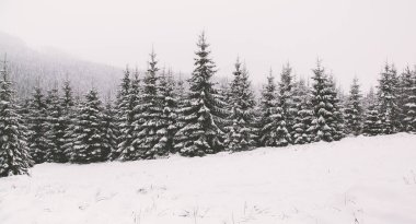 Kar kış ormanda. Bir patika ile dağ manzarası. Güneşli gün ve soğuk hava