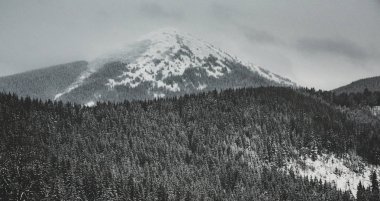 Kar kış ormanda. Bir patika ile dağ manzarası. Güneşli gün ve soğuk hava