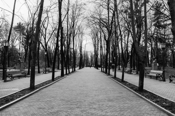 Ulice Dešti Kišiněvě Hlavní Město Republiky Moldova Architektura Stavby Avenue — Stock fotografie