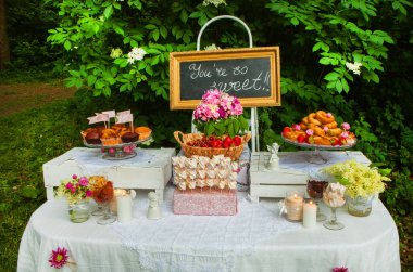 Düğün dekorasyon orman içinde. Ormandaki rustik düğün töreni. Ormandaki Vintage dekorasyon.