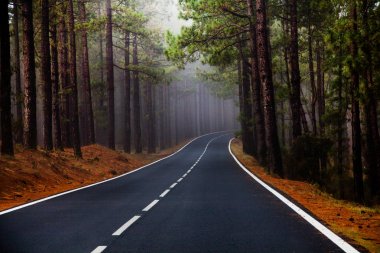 Tenerife güzel dağ yolu. Yol seyahat konsepti. Kiralık seyahat macera.