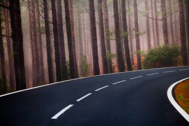 Tenerife güzel dağ yolu. Yol seyahat konsepti. Kiralık seyahat macera.