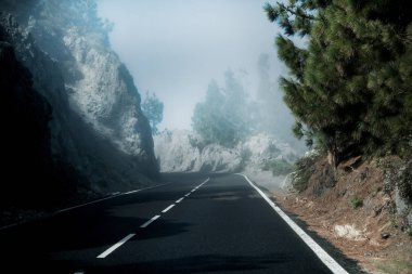Tenerife güzel dağ yolu. Yol seyahat konsepti. Kiralık seyahat macera.