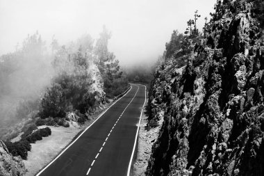 Tenerife güzel dağ yolu. Yol seyahat konsepti. Kiralık seyahat macera.