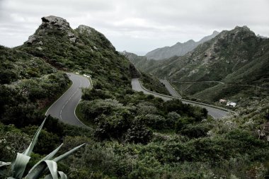 Tenerife güzel dağ yolu. Yol seyahat konsepti. Kiralık seyahat macera.
