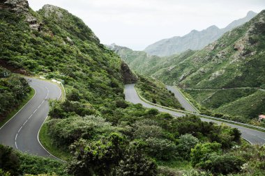 Tenerife güzel dağ yolu. Yol seyahat konsepti. Kiralık seyahat macera.