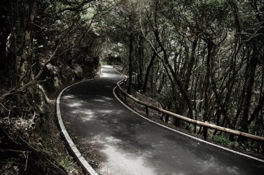 Tenerife güzel dağ yolu. Yol seyahat konsepti. Kiralık seyahat macera.