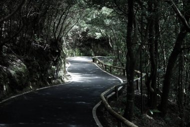 Tenerife güzel dağ yolu. Yol seyahat konsepti. Kiralık seyahat macera.