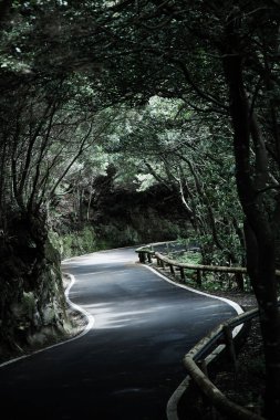 Tenerife güzel dağ yolu. Yol seyahat konsepti. Kiralık seyahat macera.