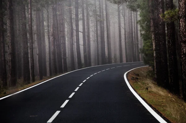 Tenerife güzel dağ yolu. Yol seyahat konsepti. Kiralık seyahat macera.