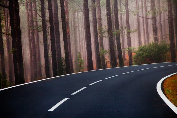 Tenerife güzel dağ yolu. Yol seyahat konsepti. Kiralık seyahat macera.