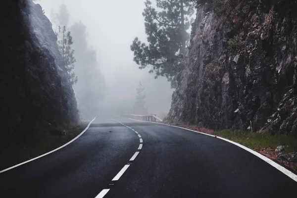 Tenerife güzel dağ yolu. Yol seyahat konsepti. Kiralık seyahat macera.