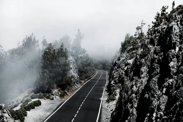 Tenerife güzel dağ yolu. Yol seyahat konsepti. Kiralık seyahat macera.