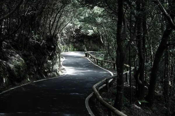Tenerife güzel dağ yolu. Yol seyahat konsepti. Kiralık seyahat macera.