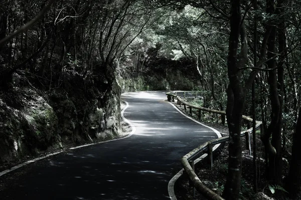 Tenerife güzel dağ yolu. Yol seyahat konsepti. Kiralık seyahat macera.