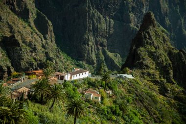 Güzel dağ köyü Masca Tenerife. Tenerife manzara.